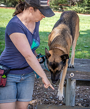Puppy Training - Dog Training - Call Karla Gran at 408-772-3536